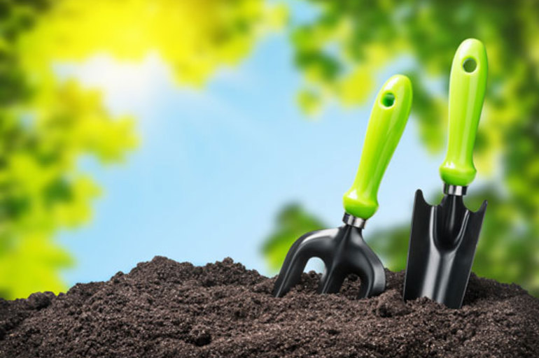 10 falsos mitos de jardinería y horticultura