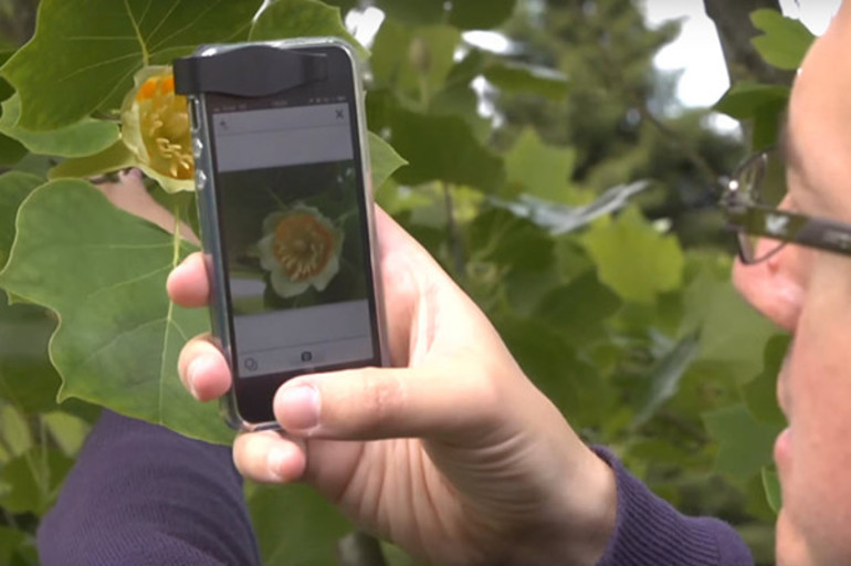 Aplicaciones móviles que te dicen todo sobre una planta con sólo una foto
