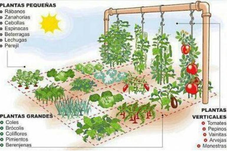 12 tips para el nuevo jardinero urbano