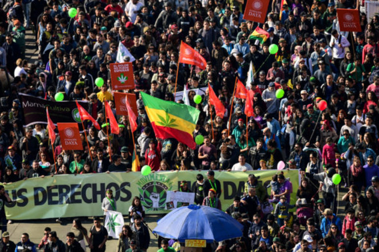 En Chile se manifiestan para exigir derecho al autocultivo de marihuana