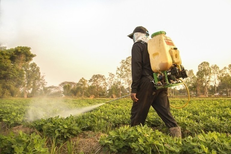 Comprobado: el agua que bebemos contiene pesticidas