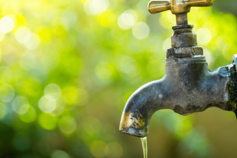 Consejos para ahorrar agua al momento de regar tu jardín