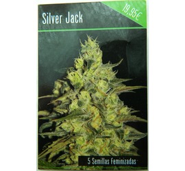 Silver Jack (x5)