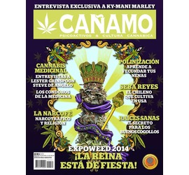 Revista Cañamo edi. 91