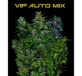 VIP Mix Auto (x1)