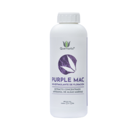 Purple Mac 1L