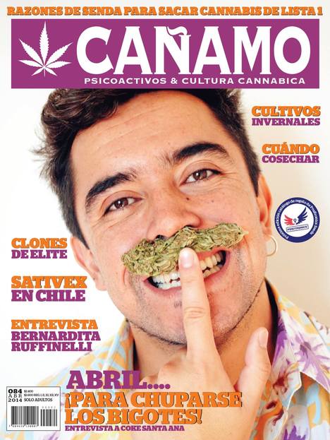 Revista Cañamo 84