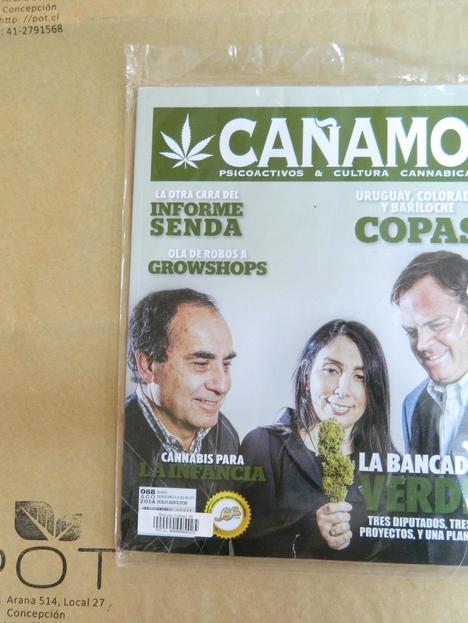 Revista Cáñamo 88