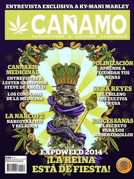 Revista Cañamo edi. 91