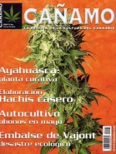 Revista Cañamo edi. 101