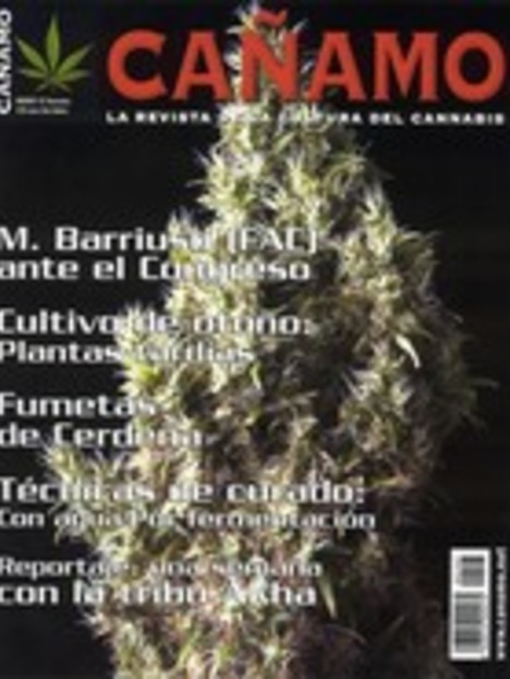 Revista Cañamo Edi. 107