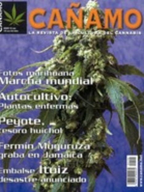 Revista Cañamo Edi. 102