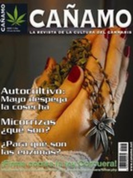 Revista Cáñamo 113