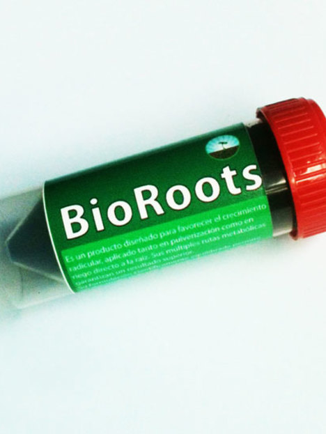 Bioroots 30g