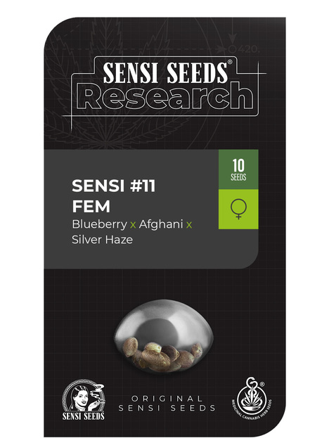 Sensi #11 ( Blueberry x Afghani x Silver Haze ) (x1) 