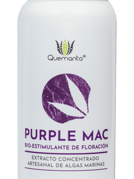 Purple Mac 250ml