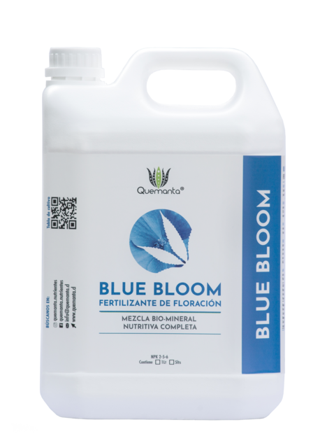 Blue Bloom 5L.