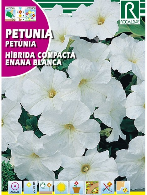 Semillas Petunia Híbrida Compacta