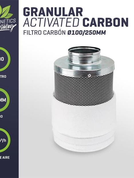 Filtro Carbon 100/250MM (160m3/h)