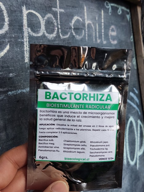 Bactorhiza 6gr