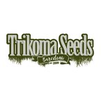 Trikoma Seeds