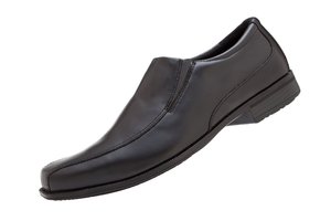 Belgian  Black (Male/Senior) (129378)