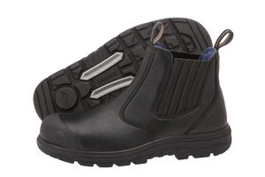 Sigma 2 (4E) Black (Male/Senior) (129473)