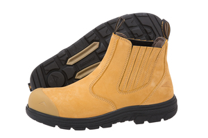 Sigma 2 (4E) Wheat (Male/Senior) (129474)