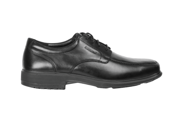 Large 129573 zest 2 snr flat