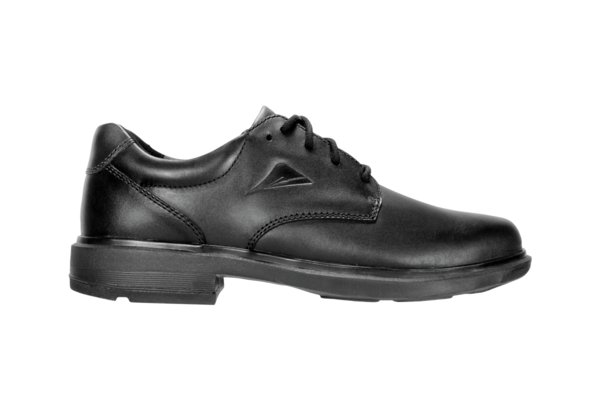 Large 129504 apexmax3cblksenior flat