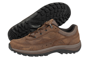 Creed 3  Copper (Male/Senior) (129633)