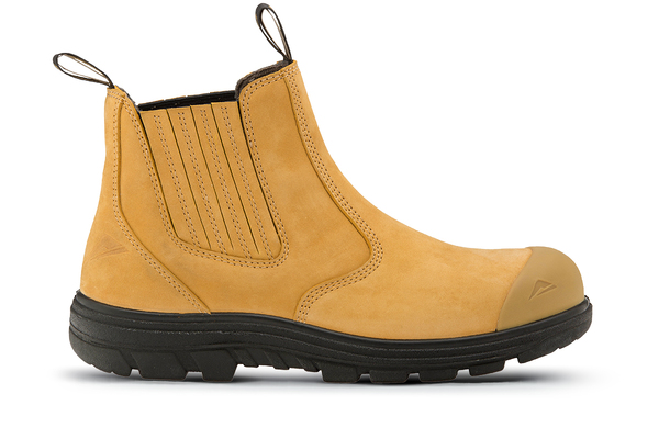 Sigma 2 (4E) Wheat (Male/Senior) (129474)