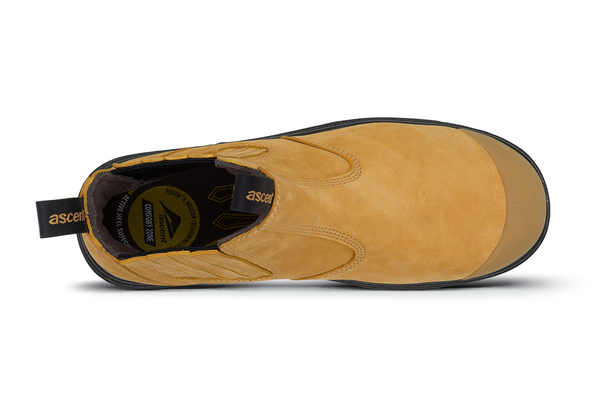 Large 129474 sigma2wheat top