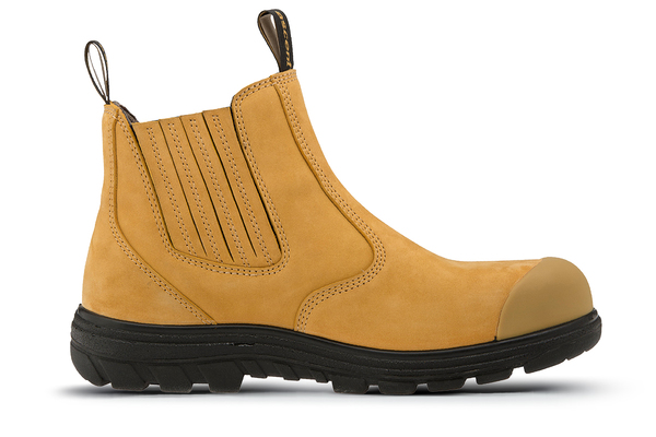 Large 129474 sigma2wheat medial