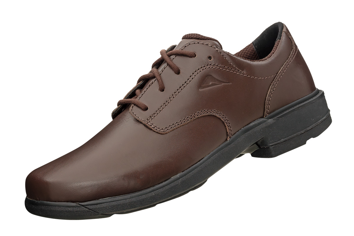 141733 scholar brown angle