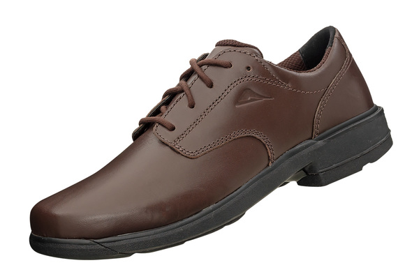 Scholar (B) Brown (Female/Senior) (141734)