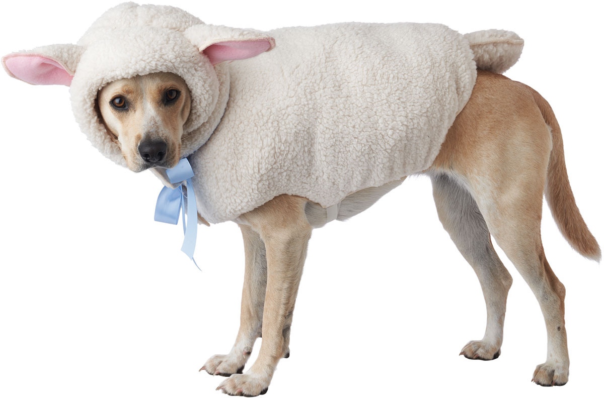 California Costume Sheep Dog Pet Animals Outfit 4223/116 - Bild 2 von 2