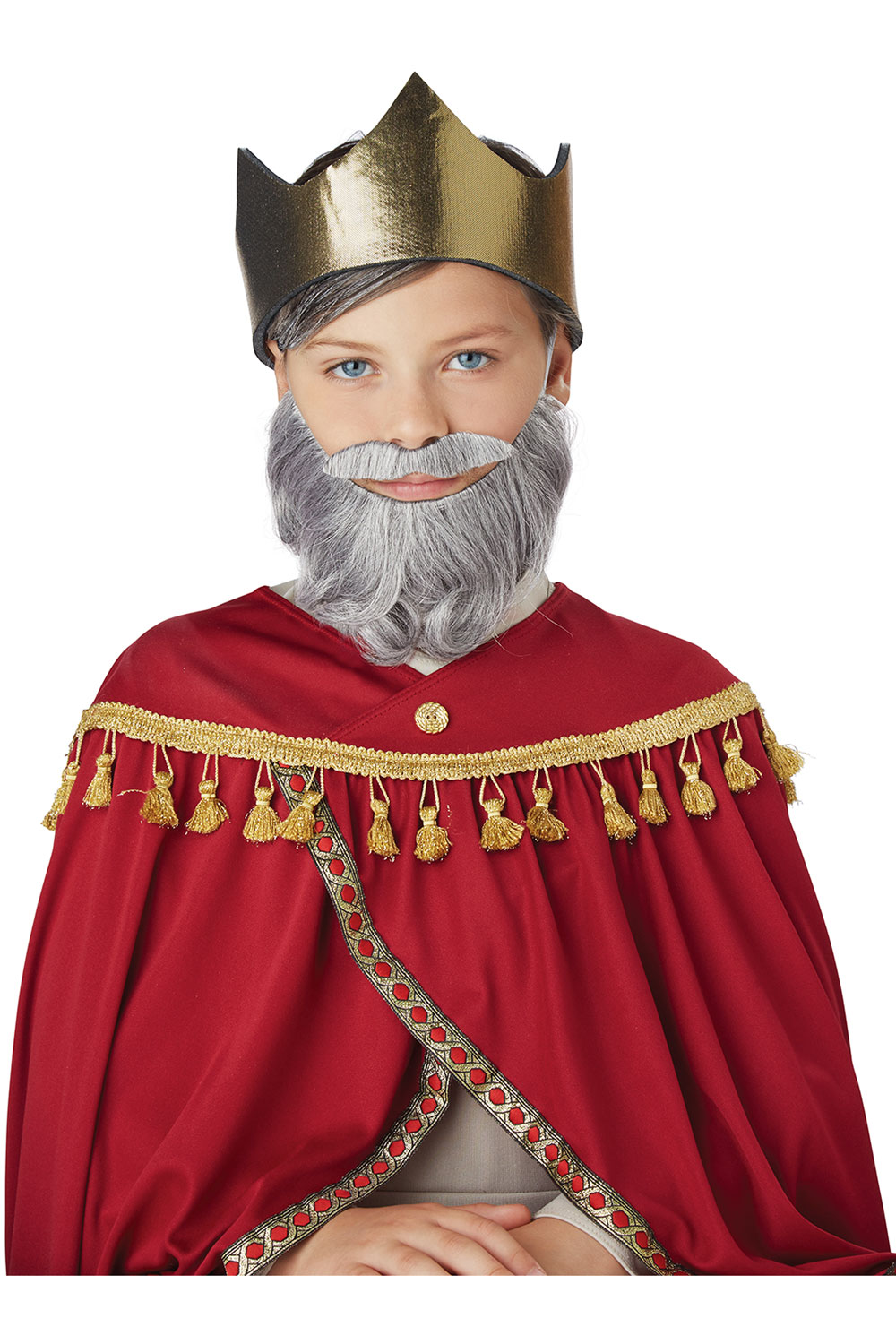 California Costume Wise Man Beard Moustache Child Boys Halloween Accessory 70918