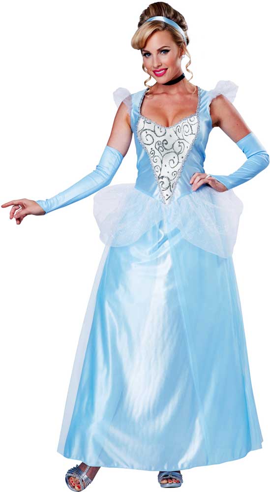 Cinderella hotsell costume womens