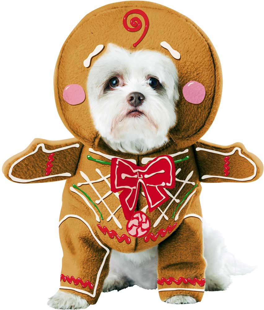 Costume California Pan di Zenzero Cucciolo-A-Razzi Cane Costume di Natale Pet20133 - Foto 2 di 2