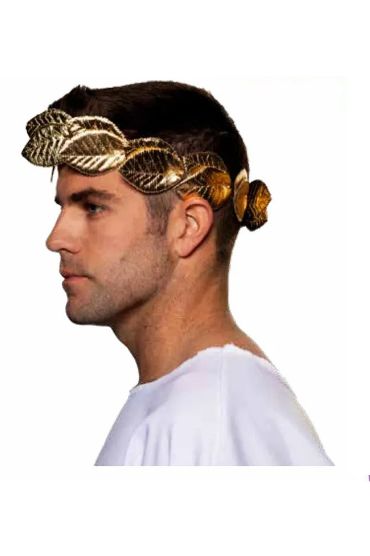 Underwraps Gold Leaf Crown Adult Men Costume Accessory Headband 31101