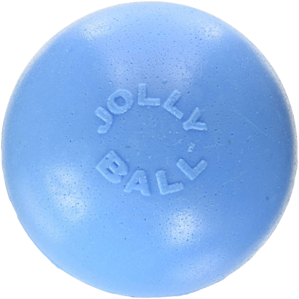 881157 Bouncenplay Dog Toy 45inch Blueberry