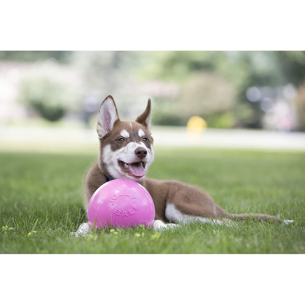 Jolly Pets Toys 881155 Bouncenplay Dog Toy 45Inch Pink