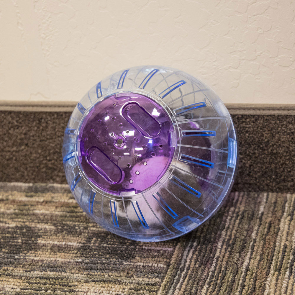 Ware Manufacturing Roll-N-Around Pet Exercise Ball