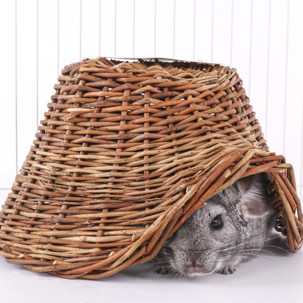 Ware Manufacturing Hand Woven Willow Twigloo Small Pet Hideout Medium