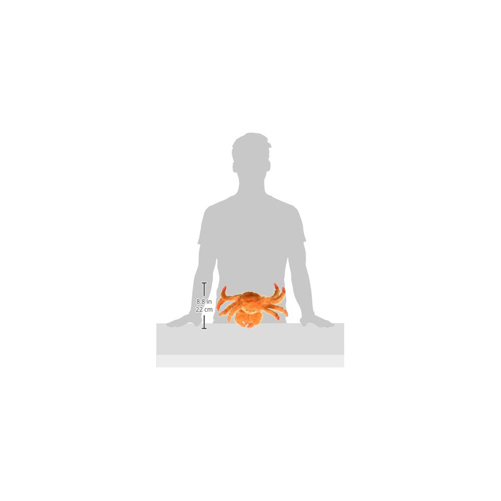 Jolly Pets Escali Arti 157Sb Precision Glass Surface Kitchen Crab Large Jta64