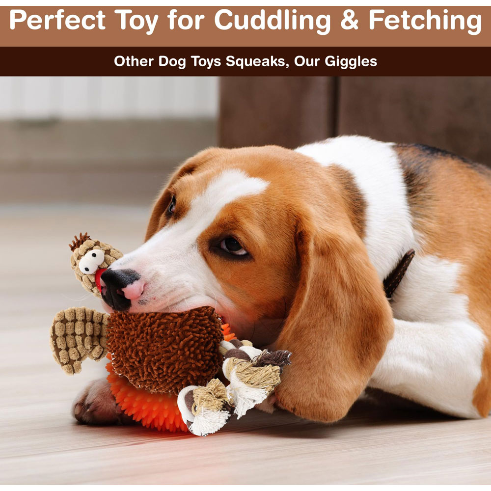 Spot Ethical Pets Gigglers Chicken Dog Toy 12Inch Assorted