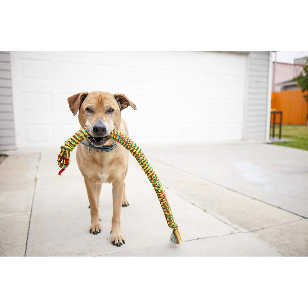 Mammoth Snakebiter Rope Tug 34 Inch Medium Dog Toy