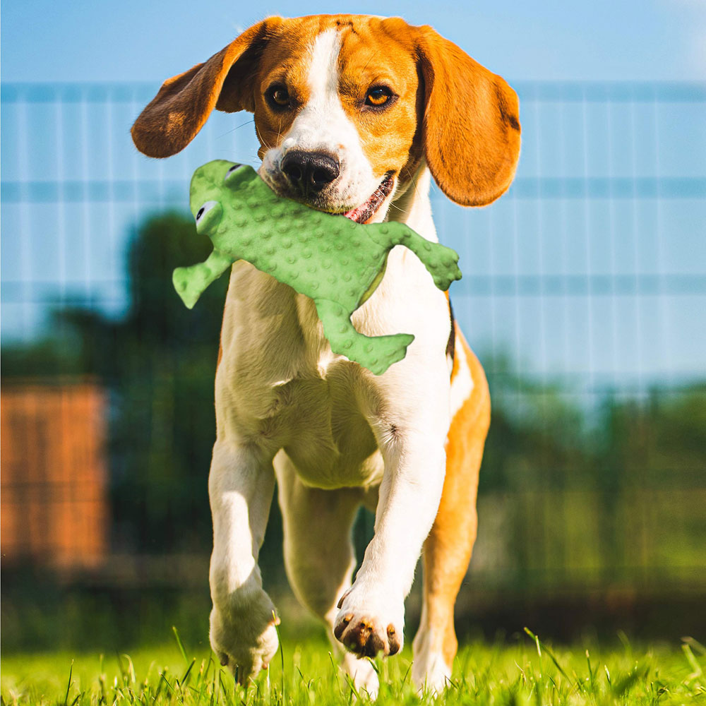 Spot Ethical Pets 54093 Skinneeez Extreme Stuffing Free Dog Toy 14" Frog Green