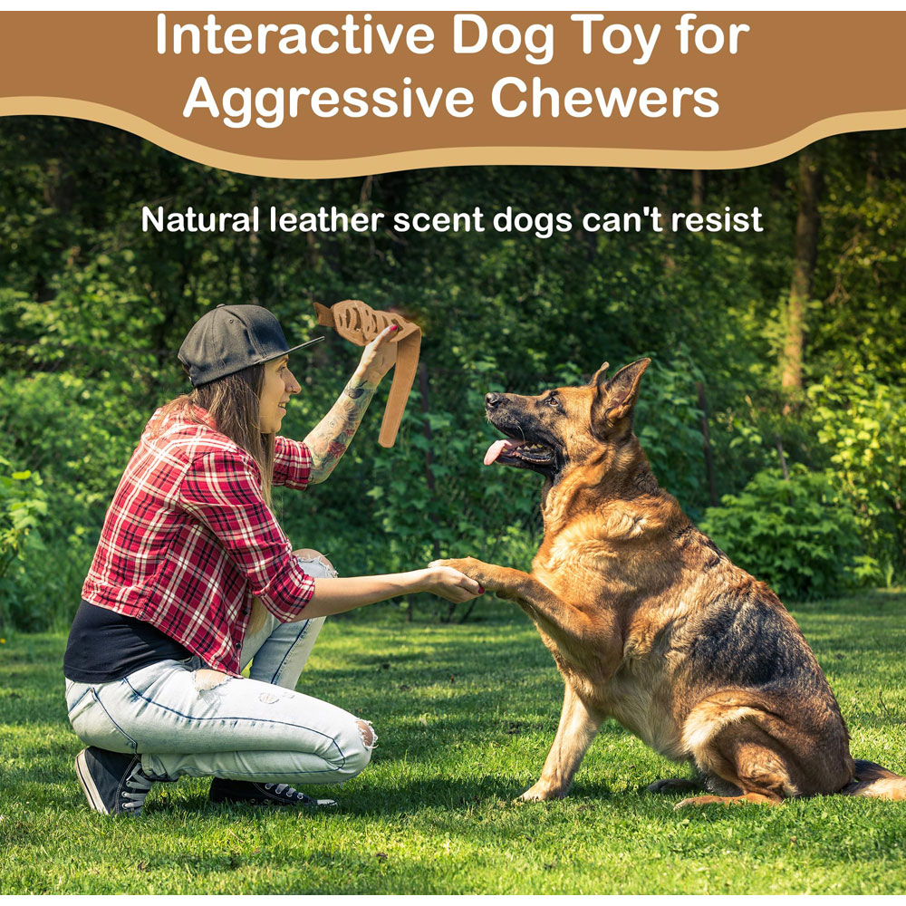 Spot Skineeez Leather Snake Stuffingless Dog Toy Made From Real With 5 Squeakers